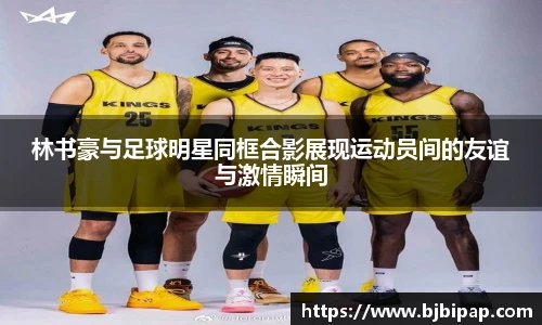 IM电竞官网